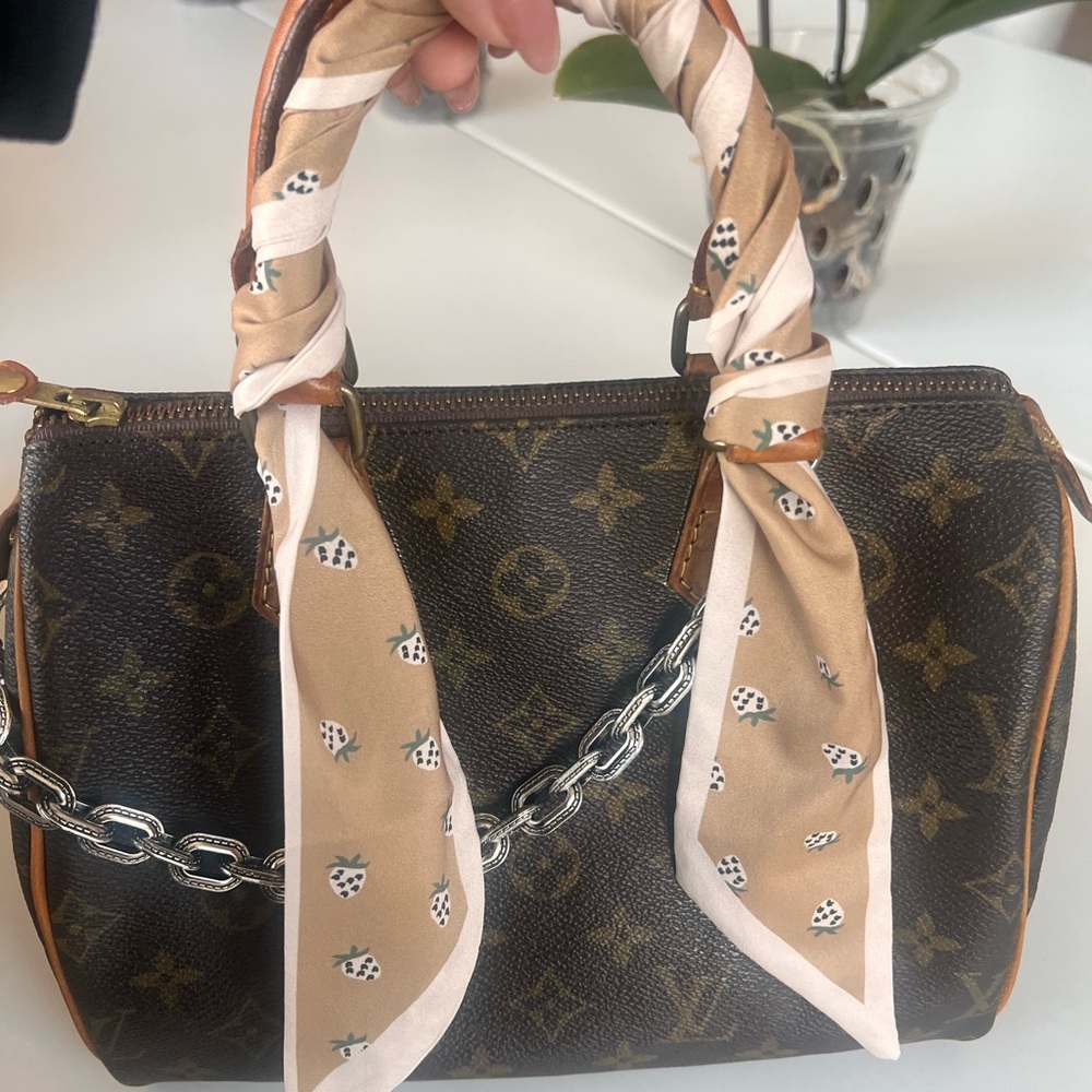 Louis Vuitton speedy 25 Brown Monogram Handbag